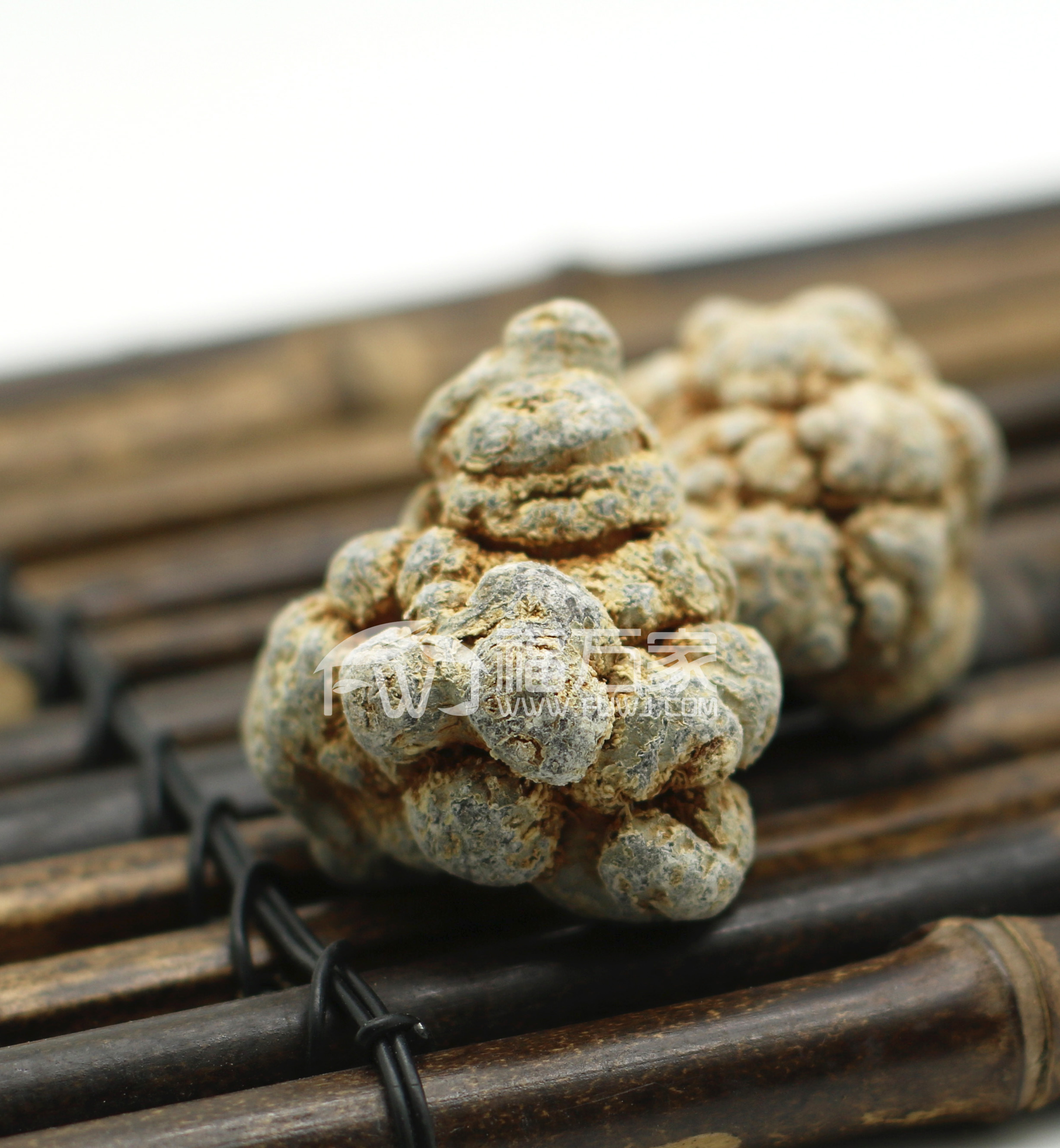 三七对抗心脑血管疾病的好帮手！效果真的不错！