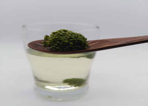 三七花颜色