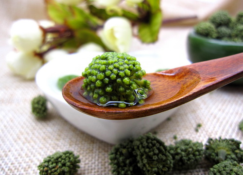 三七花茶饮