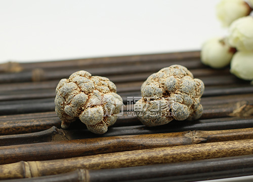 1546676608715489.jpg 20头 (35).jpg